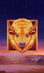 Buffalo's Sun 2